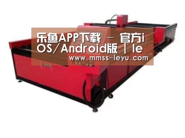 产品名称九