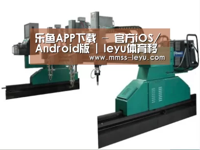 产品名称十二