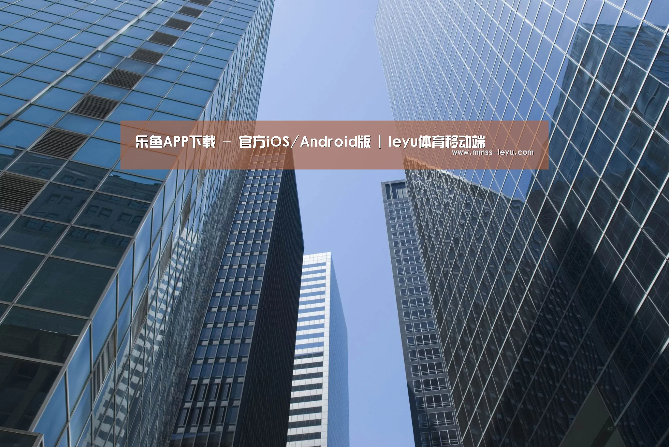 乐鱼体育公司简介 
