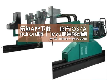产品名称十二