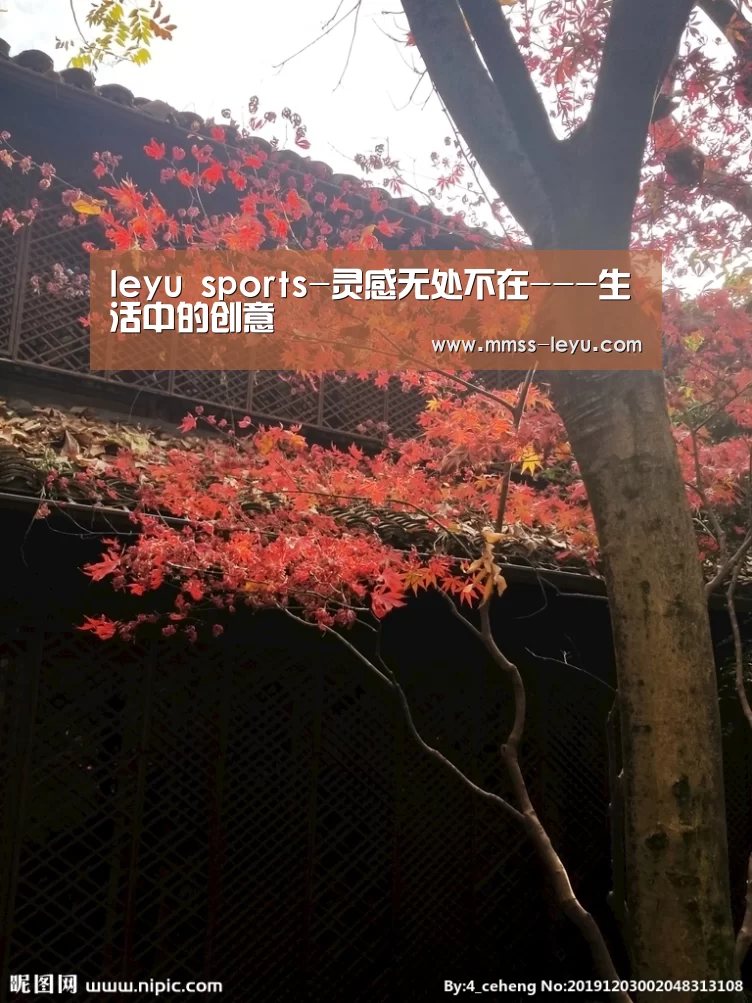 leyu sports-灵感无处不在---生活中的创意(图3) 乐鱼体育