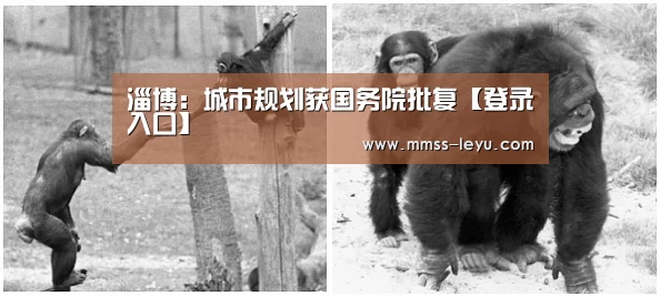 淄博:城市规划获国务院批复【登录入口】(图1) 乐鱼体育