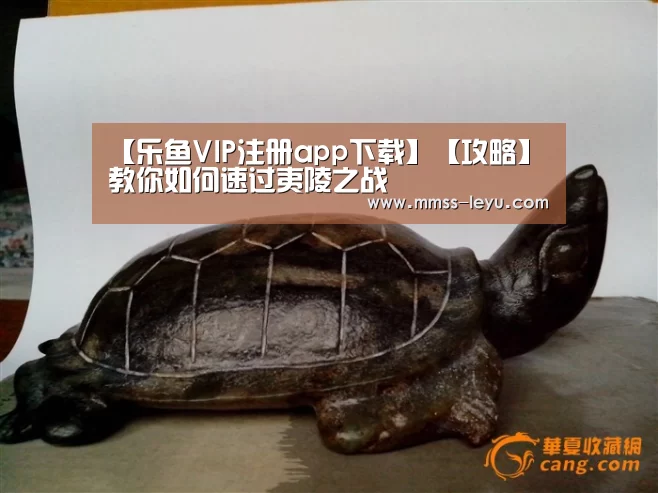 乐鱼VIP注册app下载