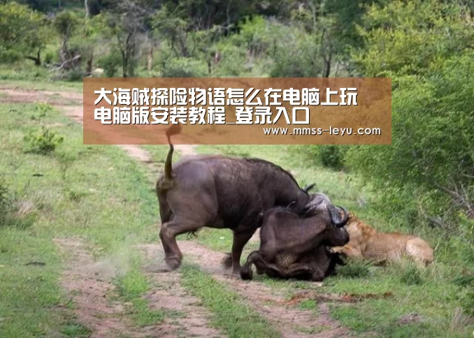 大海贼探险物语怎么在电脑上玩 电脑版安装教程_登录入口(图4) 乐鱼体育