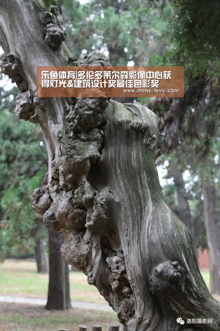 乐鱼体育|多伦多莱尔森影像中心获得灯光&建筑设计奖最佳色彩奖(图2) leyu sports