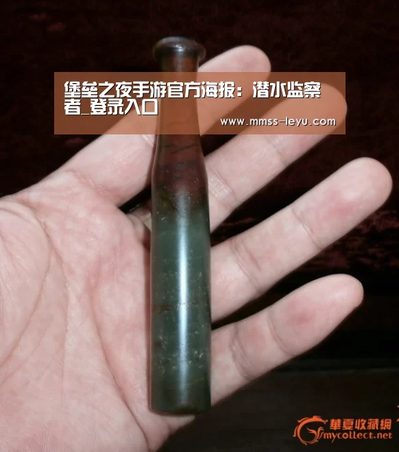 堡垒之夜手游官方海报:潜水监察者_登录入口(图3) 乐鱼VIP注册app下载