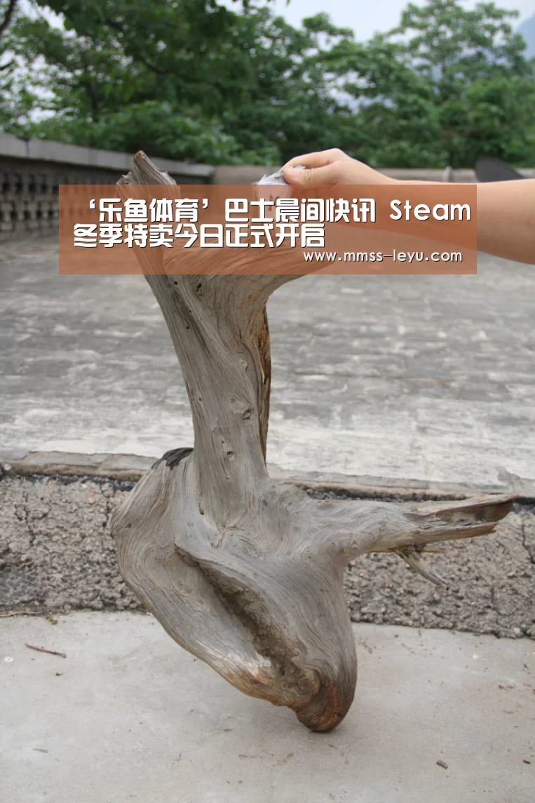 ‘乐鱼体育’巴士晨间快讯 Steam冬季特卖今日正式开启(图2) 乐鱼VIP注册app下载