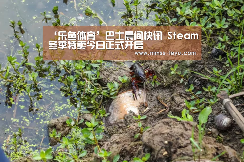‘乐鱼体育’巴士晨间快讯 Steam冬季特卖今日正式开启(图4) 乐鱼体育