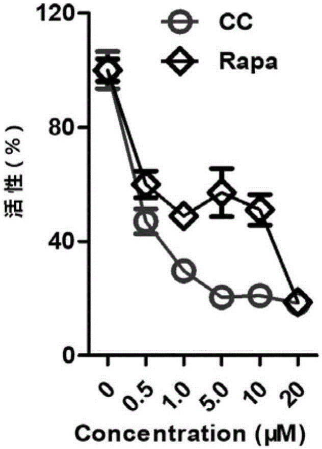 乐鱼VIP注册app下载|北京通州:打造一流现代化国际新城(图2) 乐鱼VIP注册app下载