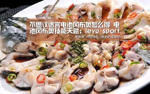 乐鱼VIP注册app下载
