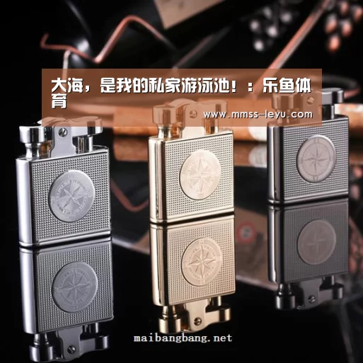 乐鱼VIP注册app下载