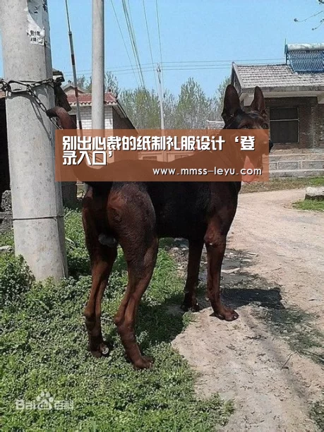 别出心裁的纸制礼服设计‘登录入口’(图3) 乐鱼体育