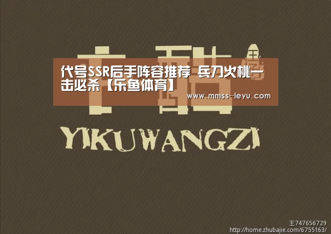 代号SSR后手阵容推荐 兵刀火桃一击必杀【乐鱼体育】(图4) 登录入口