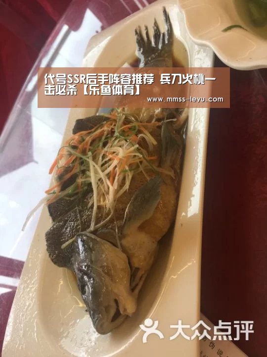 代号SSR后手阵容推荐 兵刀火桃一击必杀【乐鱼体育】(图3) 登录入口