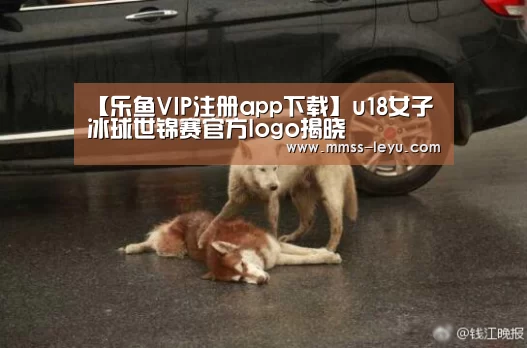 乐鱼VIP注册app下载